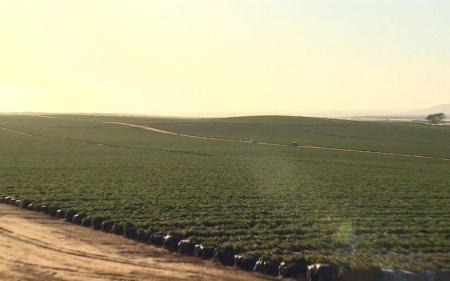 Farmworkers in Mexico on strike, disrupting the harvest